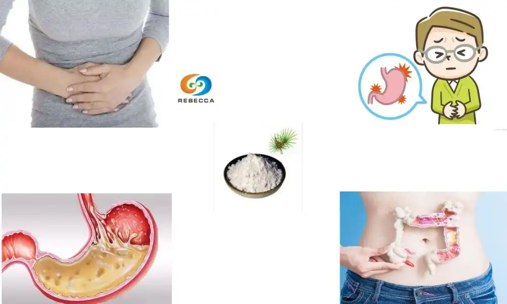 Can You Take Saw Palmetto on an Empty Stomach?